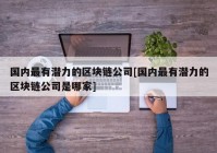 国内最有潜力的区块链公司[国内最有潜力的区块链公司是哪家]