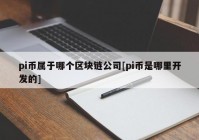 pi币属于哪个区块链公司[pi币是哪里开发的]